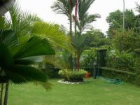 /album/fotogaleria-jardineria-y-paisajismo/images-5-jpg1/